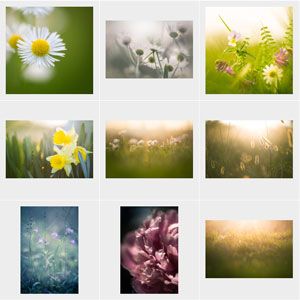 Responsive image
